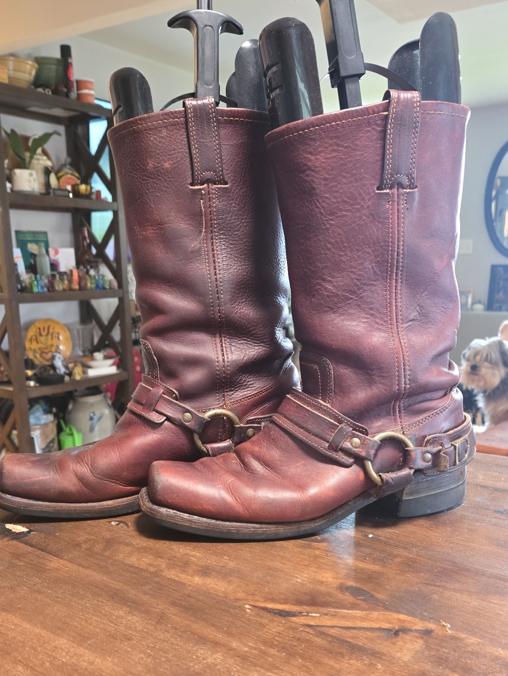 Frye 12 R Double Buckle Harness Boots Vintage Oiled Leather Size 9M Supple